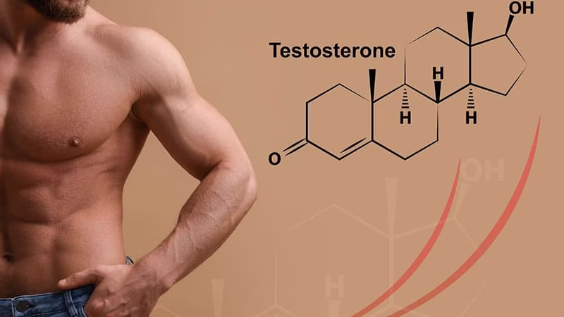 Thiếu Testosterone có gây Xuất tinh sớm không?