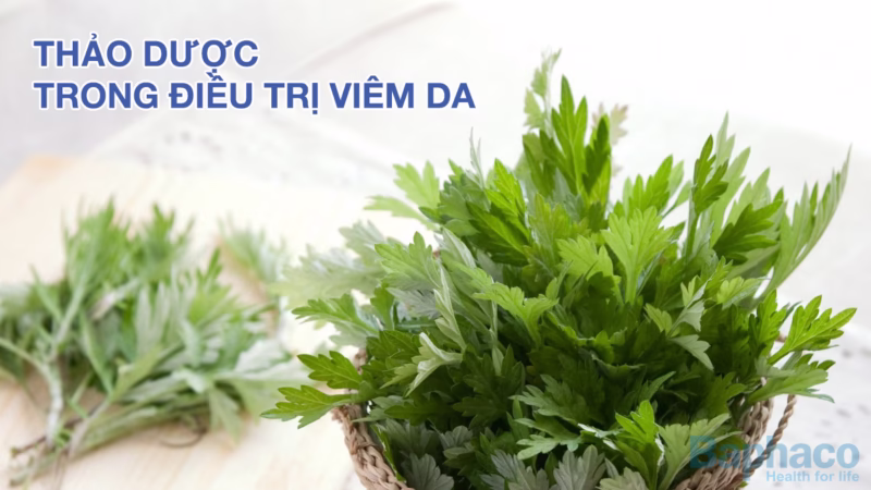 Top 5 loại thảo dược hỗ trợ giảm ngứa do viêm da an toàn và hiệu quả